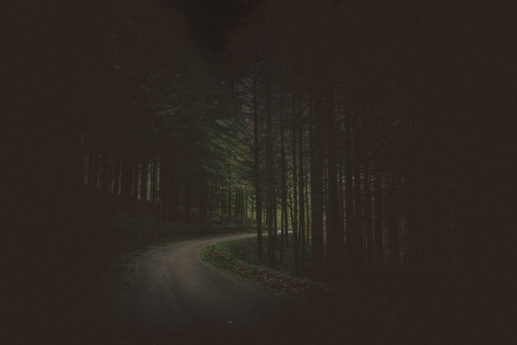 220 BPM - la foret