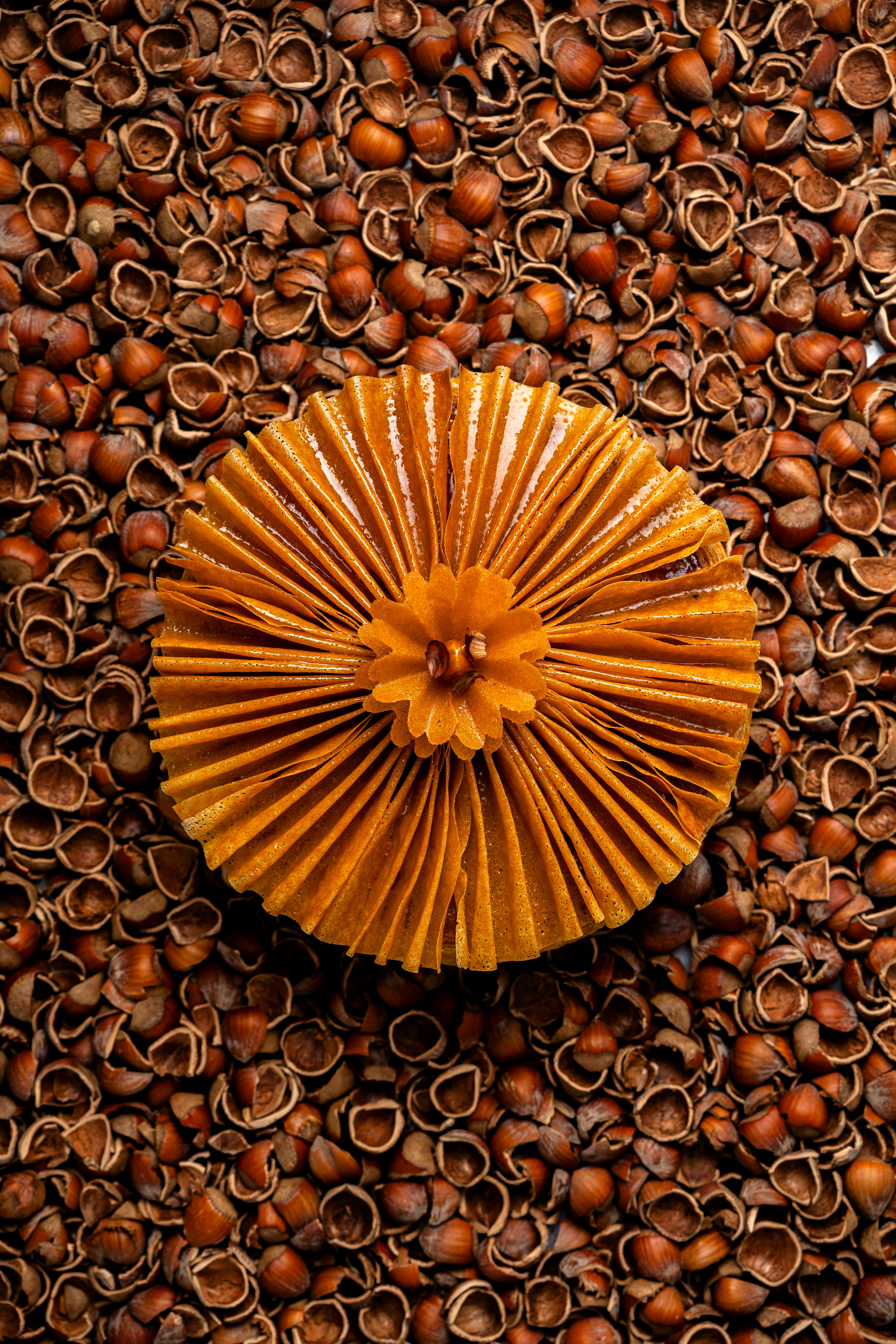 La Réserve Paris : Galette Fleur de Noisette