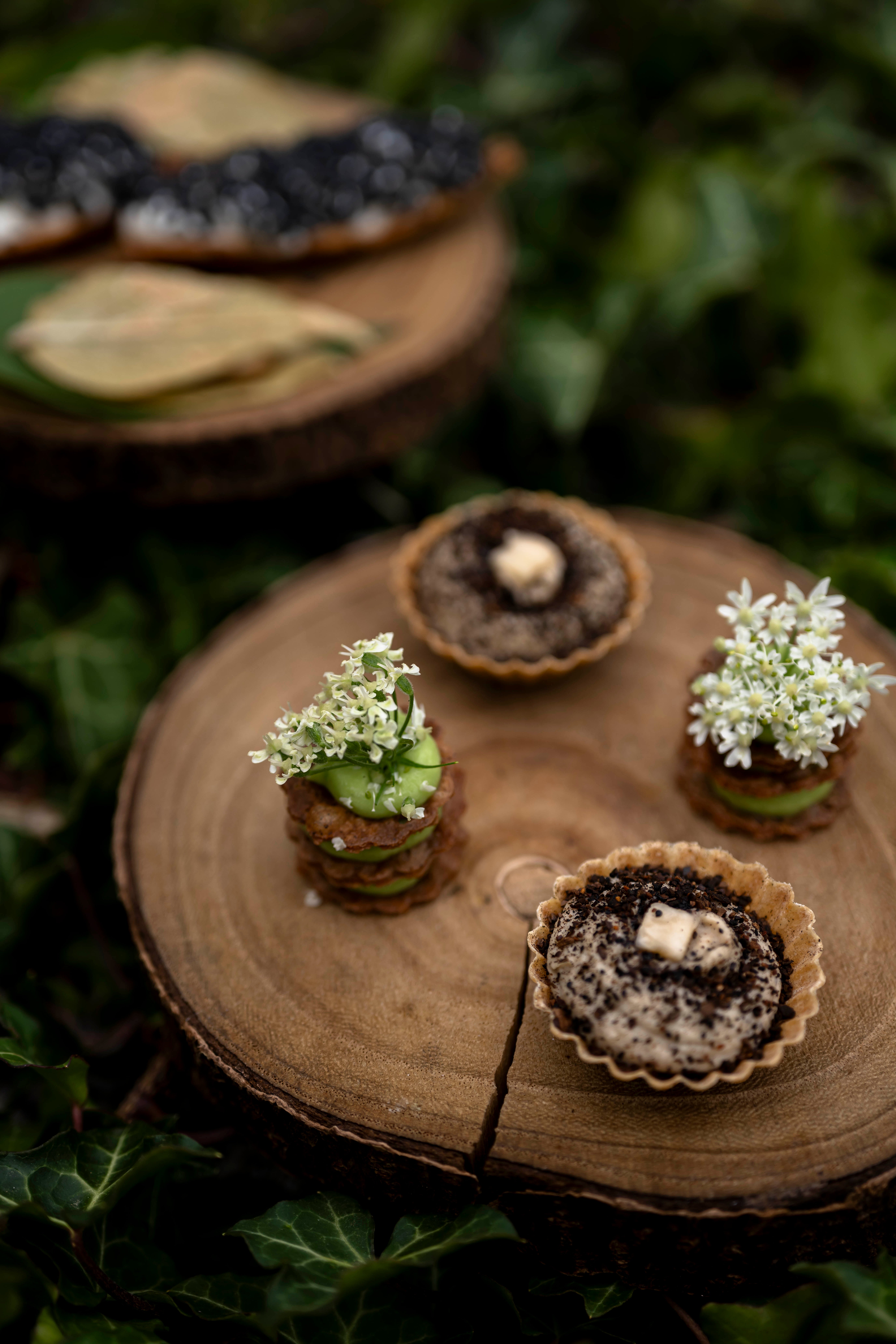 ARDENT ©GeraldineMartens