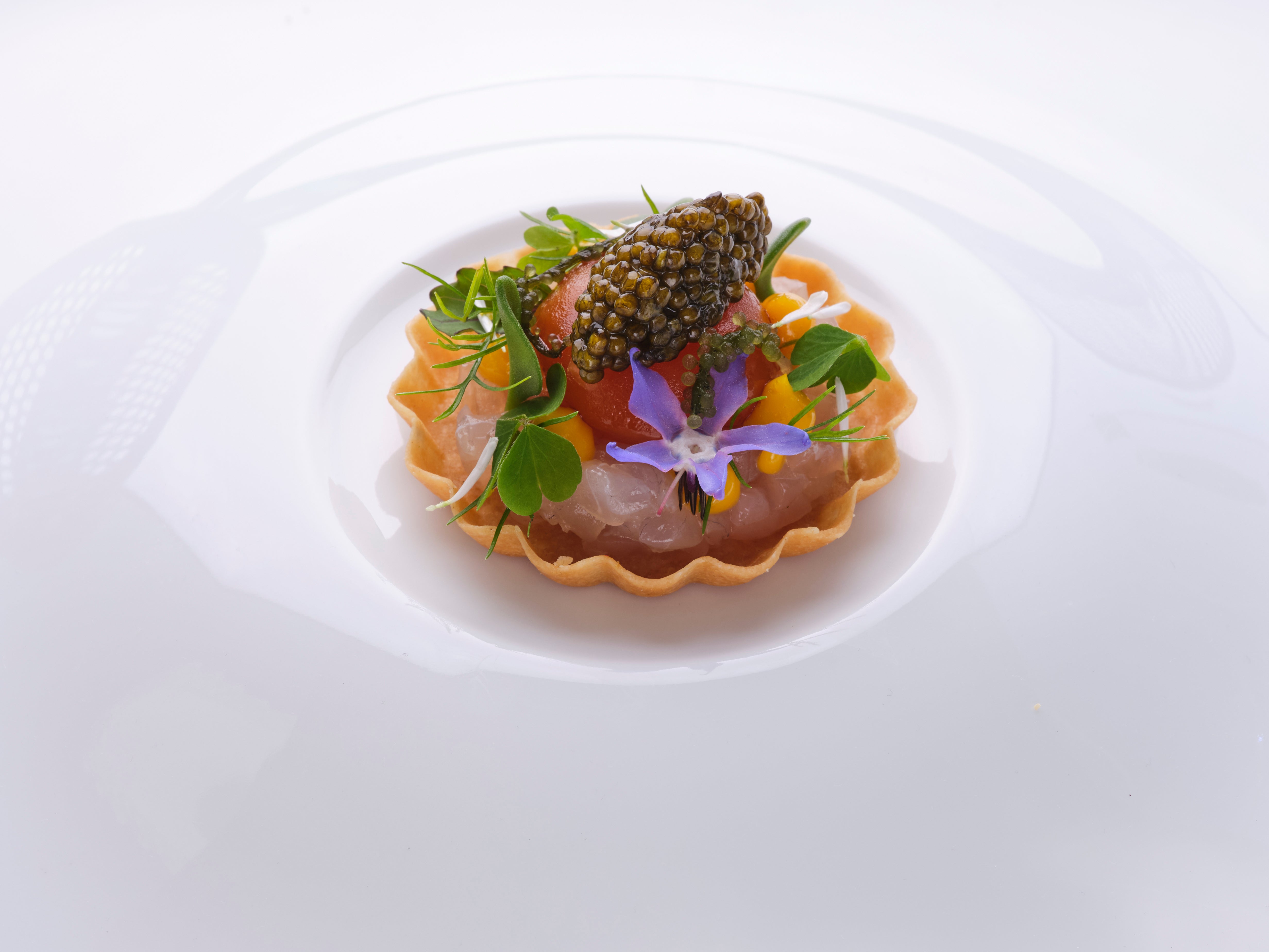 Tartare de daurade, Le Bougainvillier - Photo : Jodi Hinds