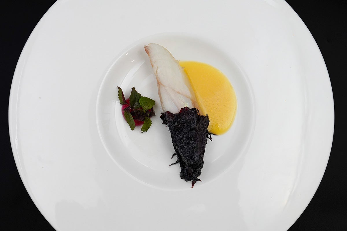 Turbot, shiso rouge, sauce saké
