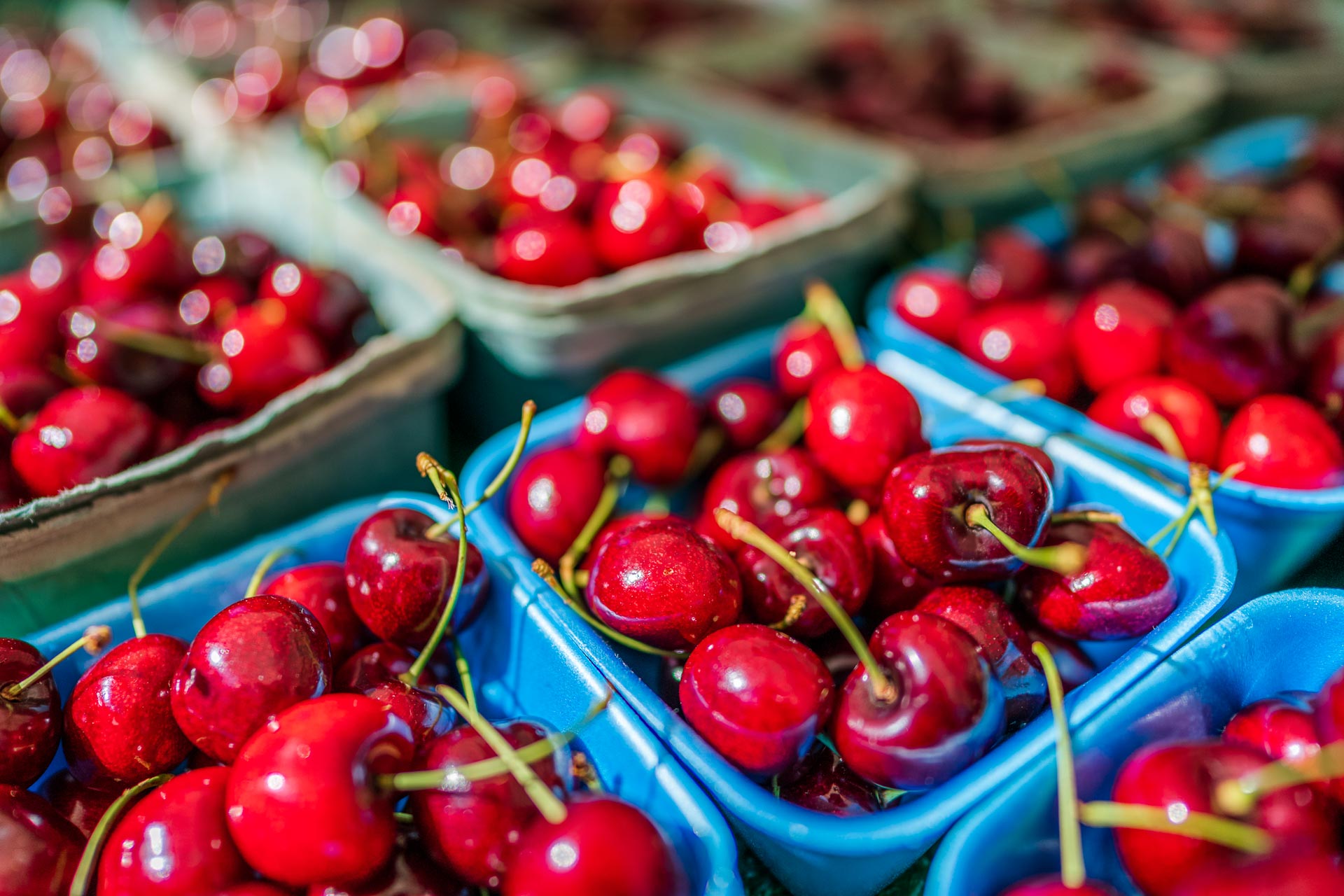 cerises Guigne
