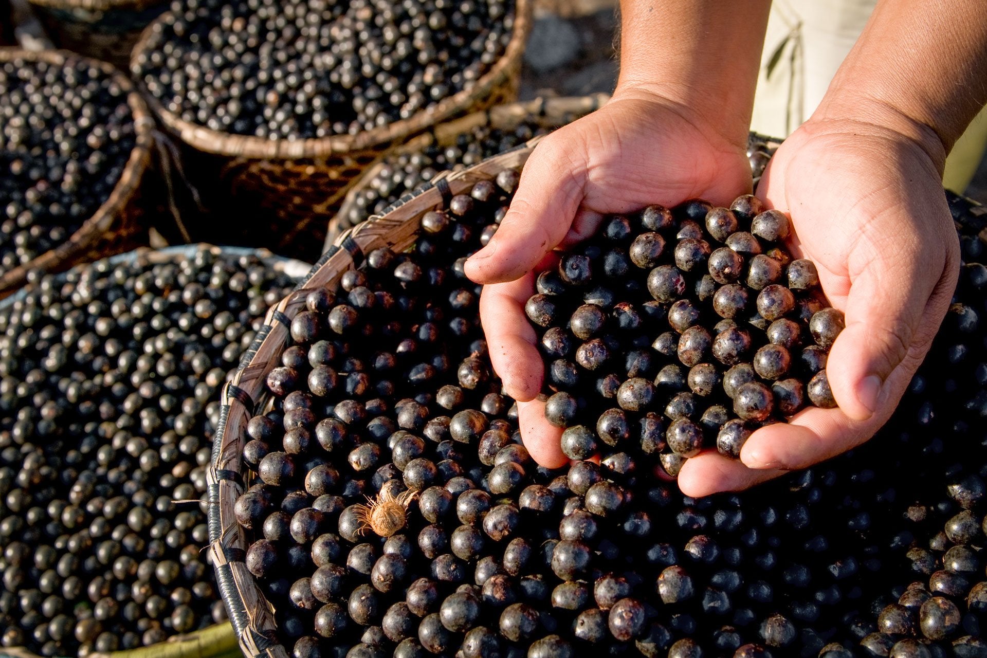 Açai