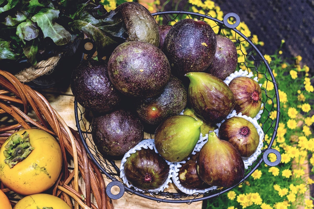 Les figues de Turquie brunes
