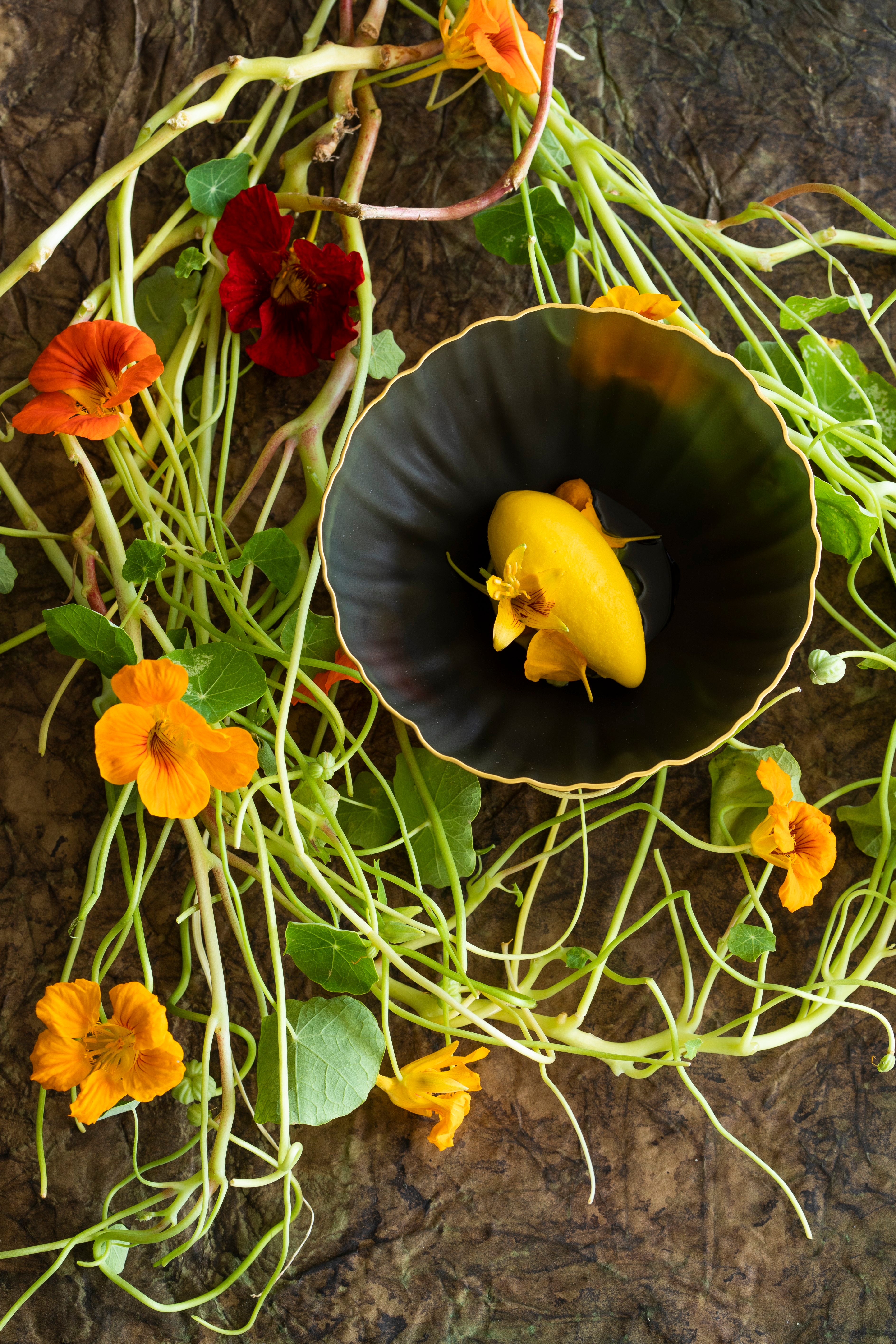 Capucine, Mirazur Flowers Universe