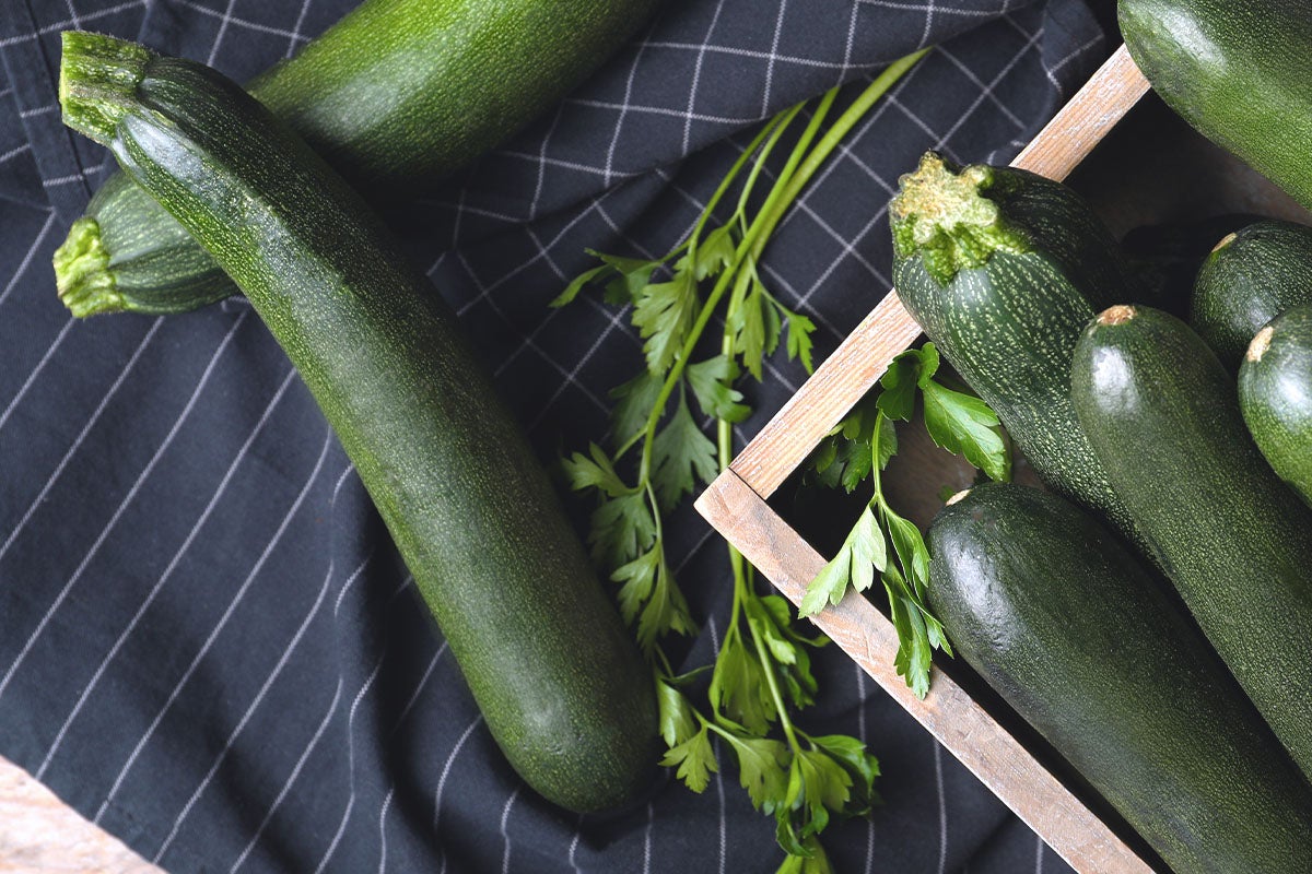 Courgette Firenze