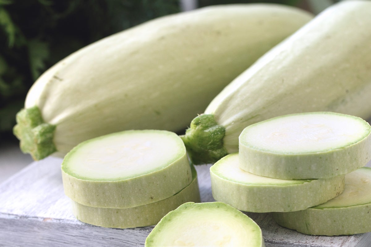 Courgette blanche d’Egypte