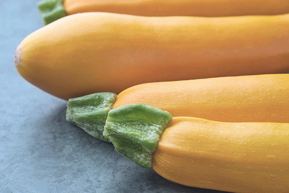 Courgette jaune