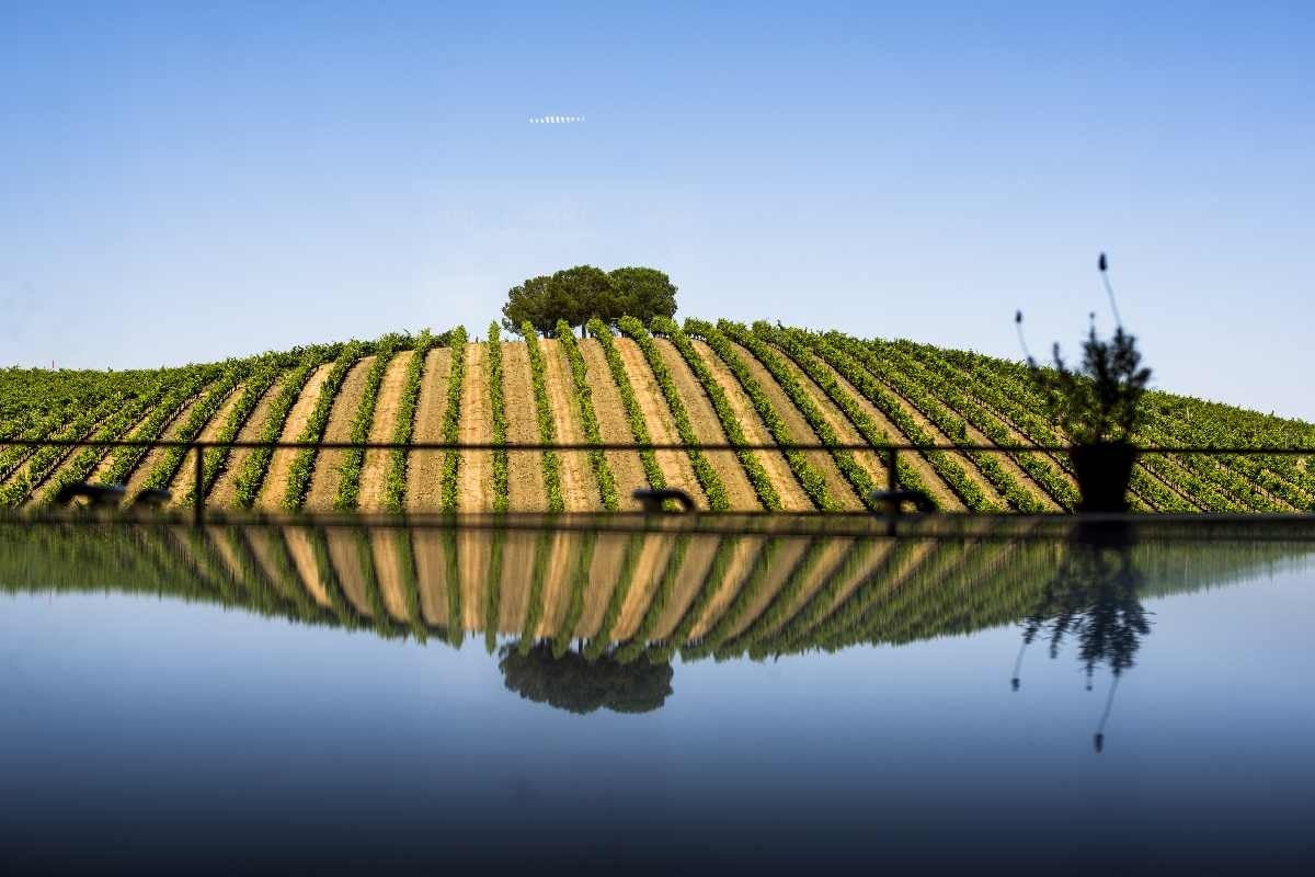 Enoturismo Alentejo © Goncalo Villaverde