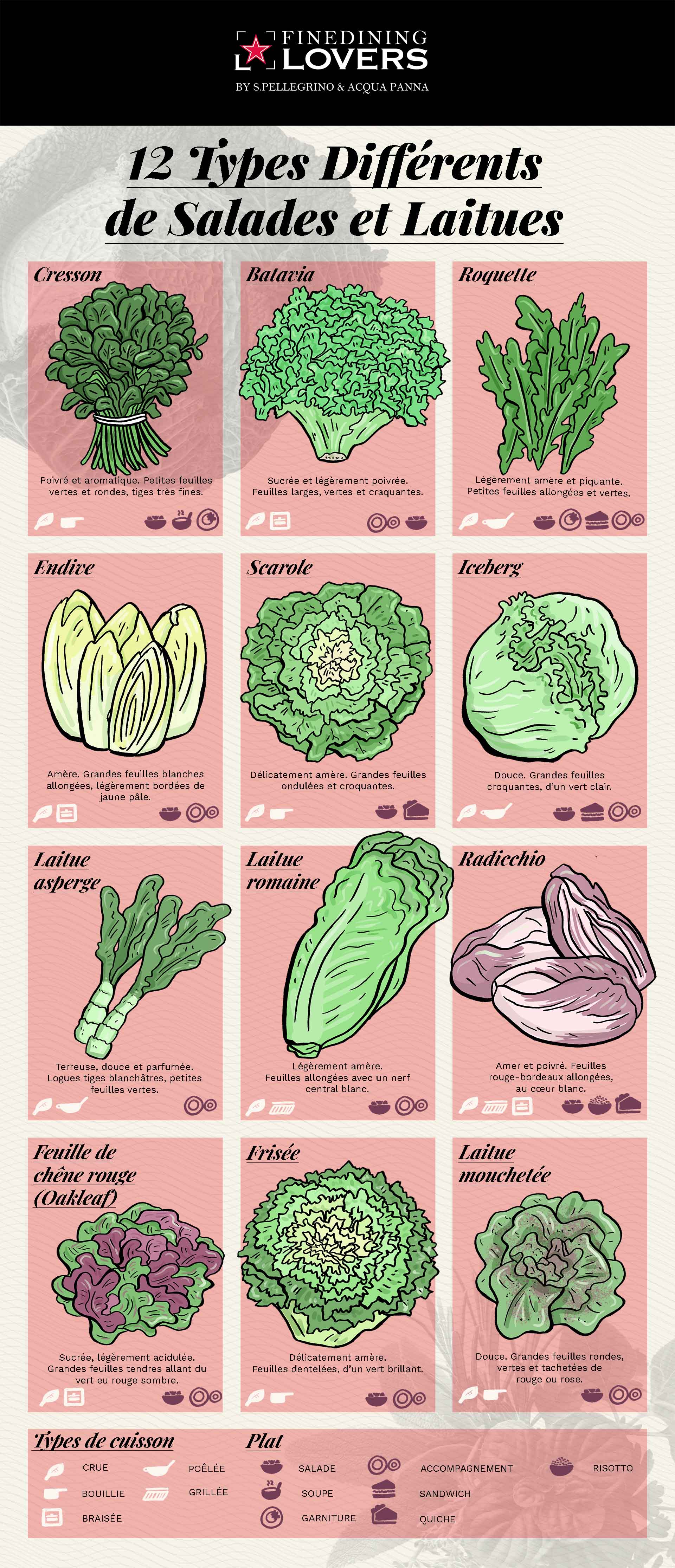 Infographie : salades et laitues
