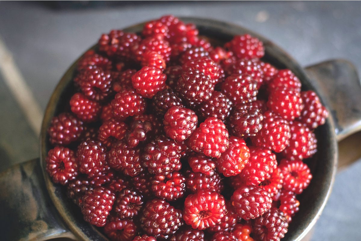 Framboises