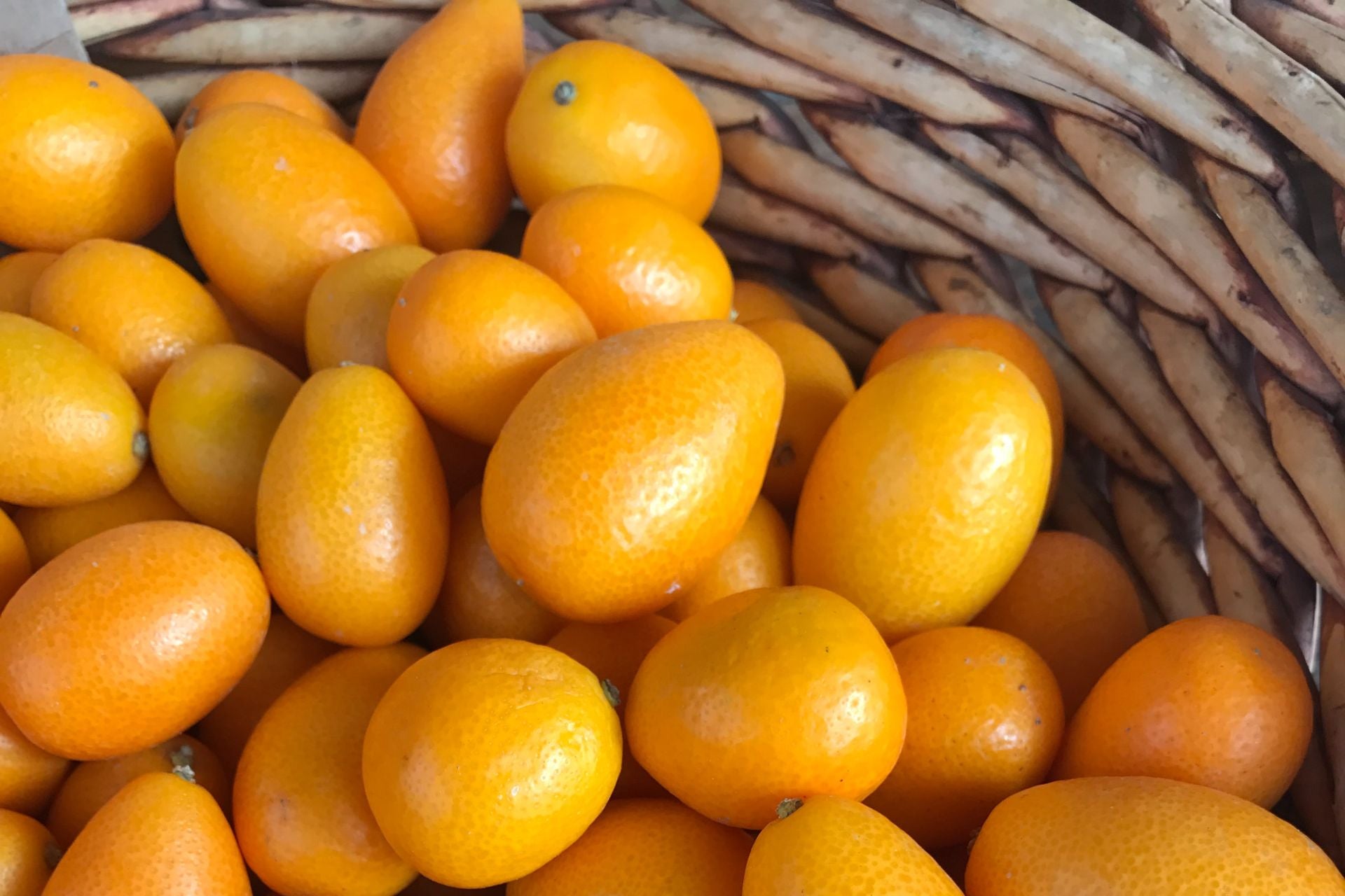 Kumquat