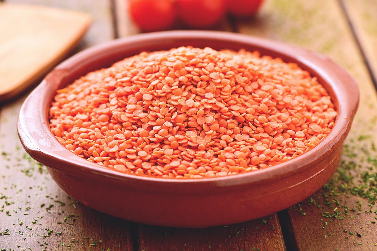 Lentilles corail