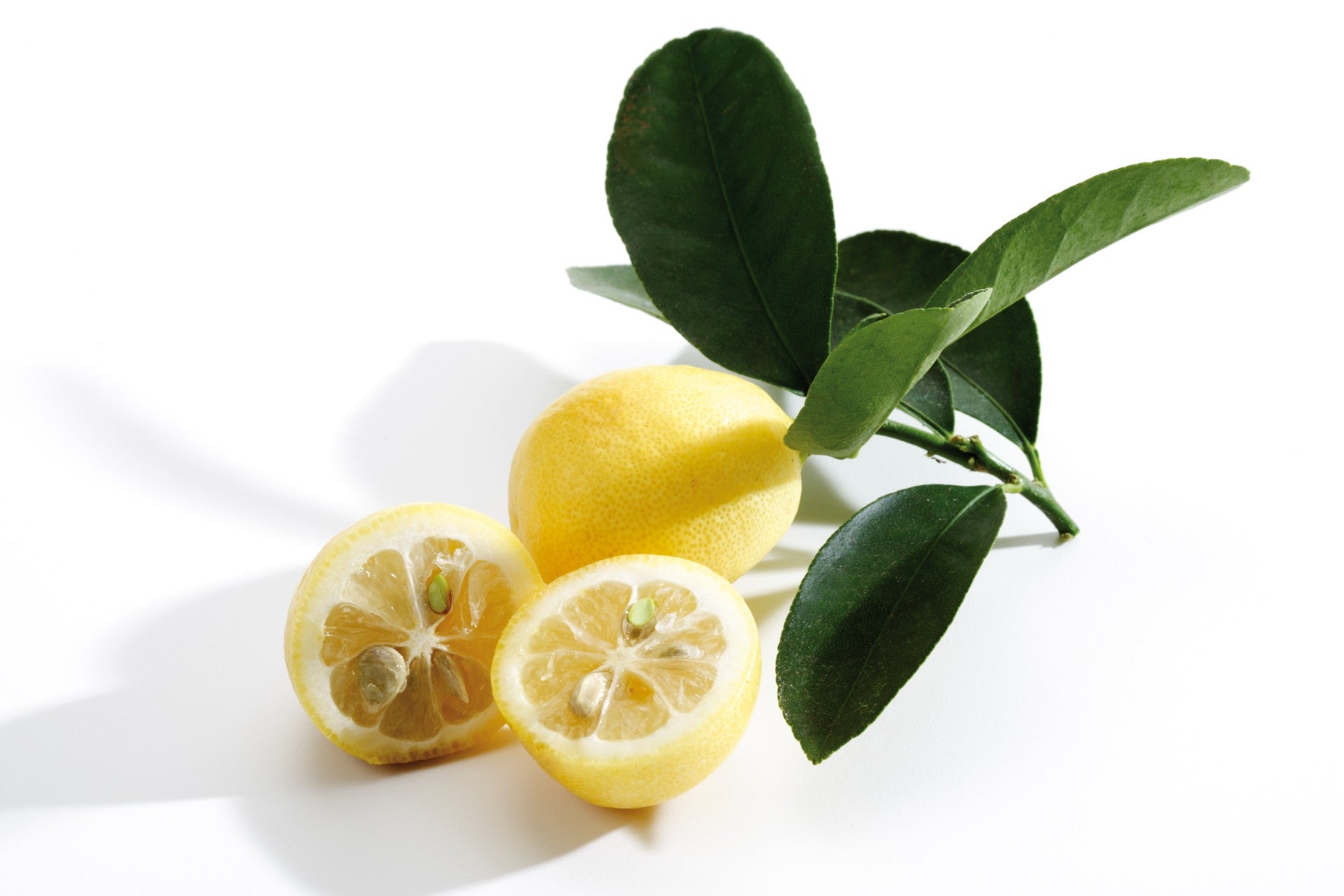 Limequat