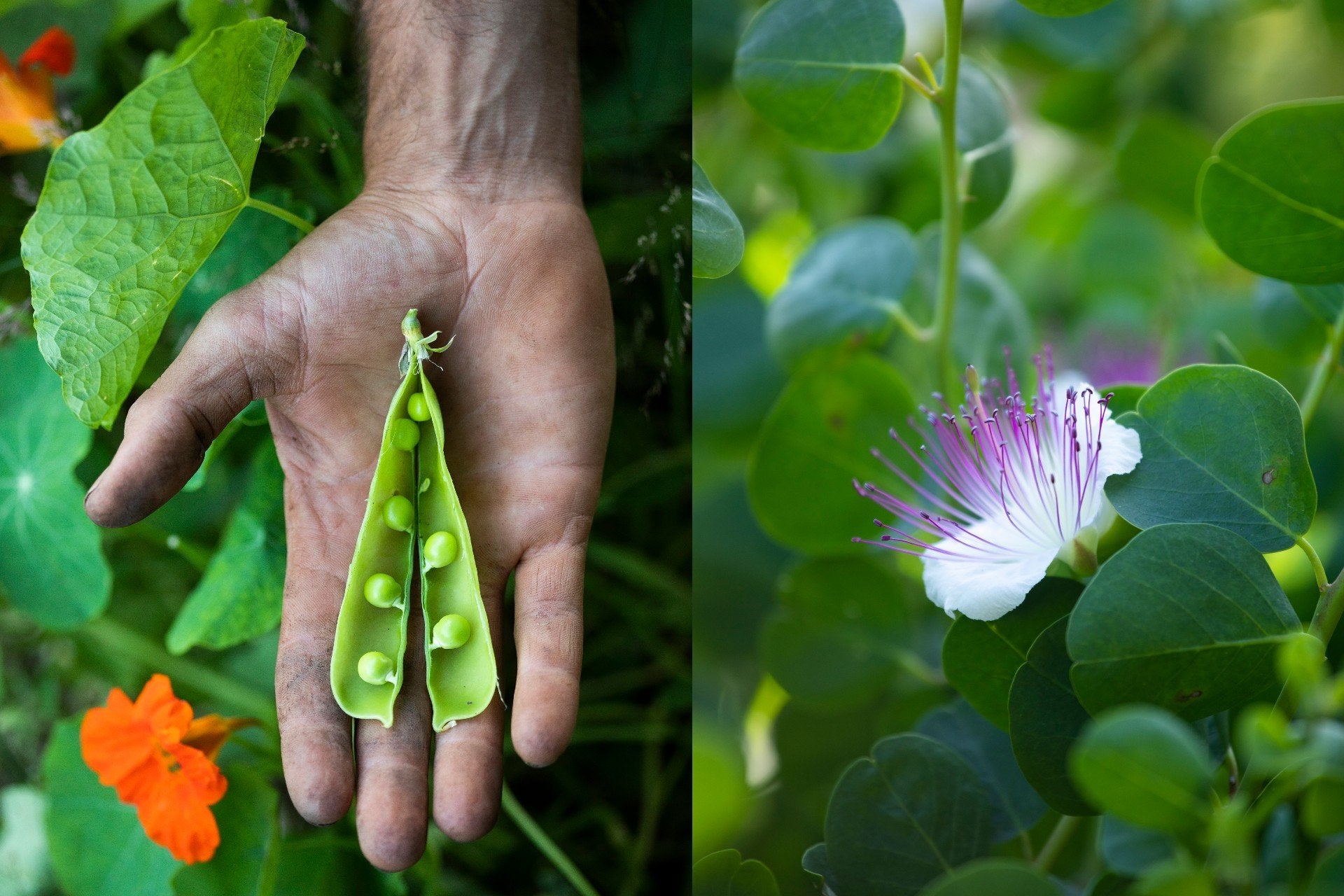 Mirazur : menu lunaire