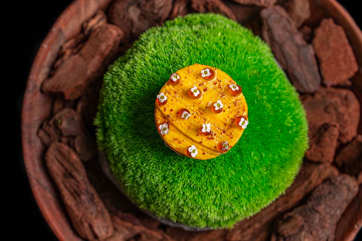 Noix de Saint Jacques à la moutarde et au miso, banane mûre, tartelette de pommes de terre (plaines côtières)