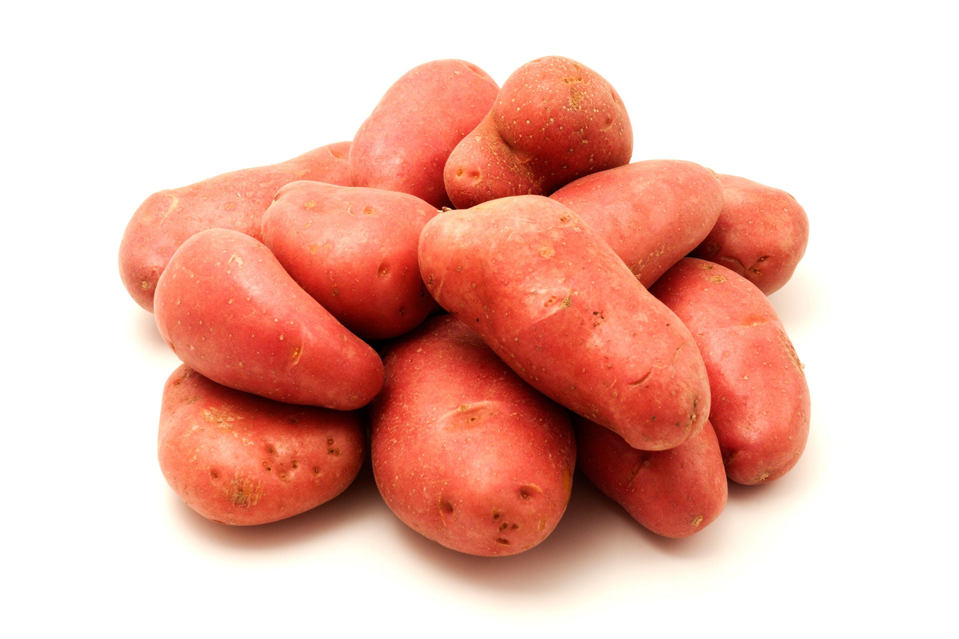 Pomme de terre Franceline