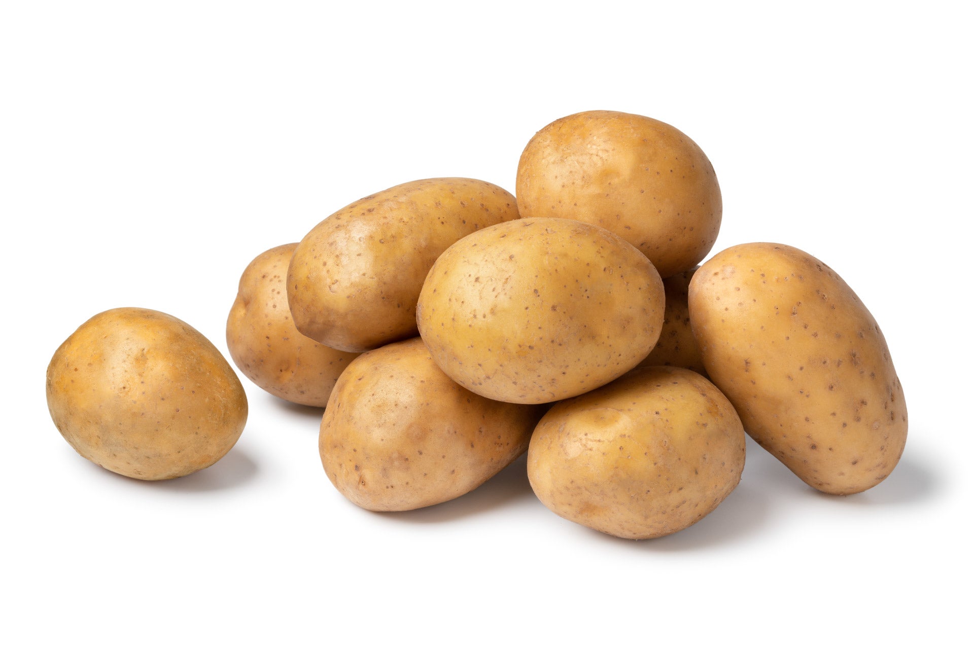 Pomme de terre Nicola