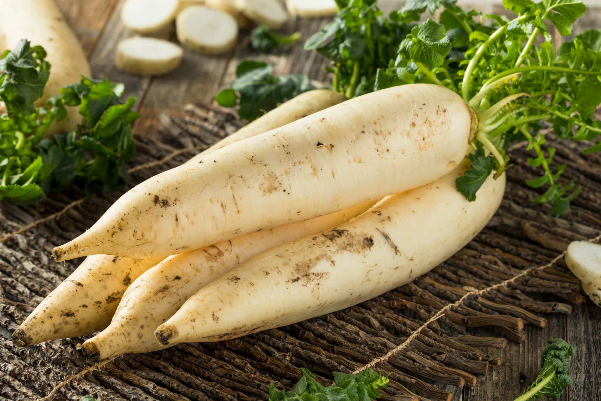 Radis blanc Daikon