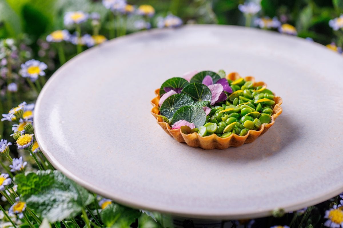 Tarte aux petits pois, olives noires fumées et cèpes fermentés