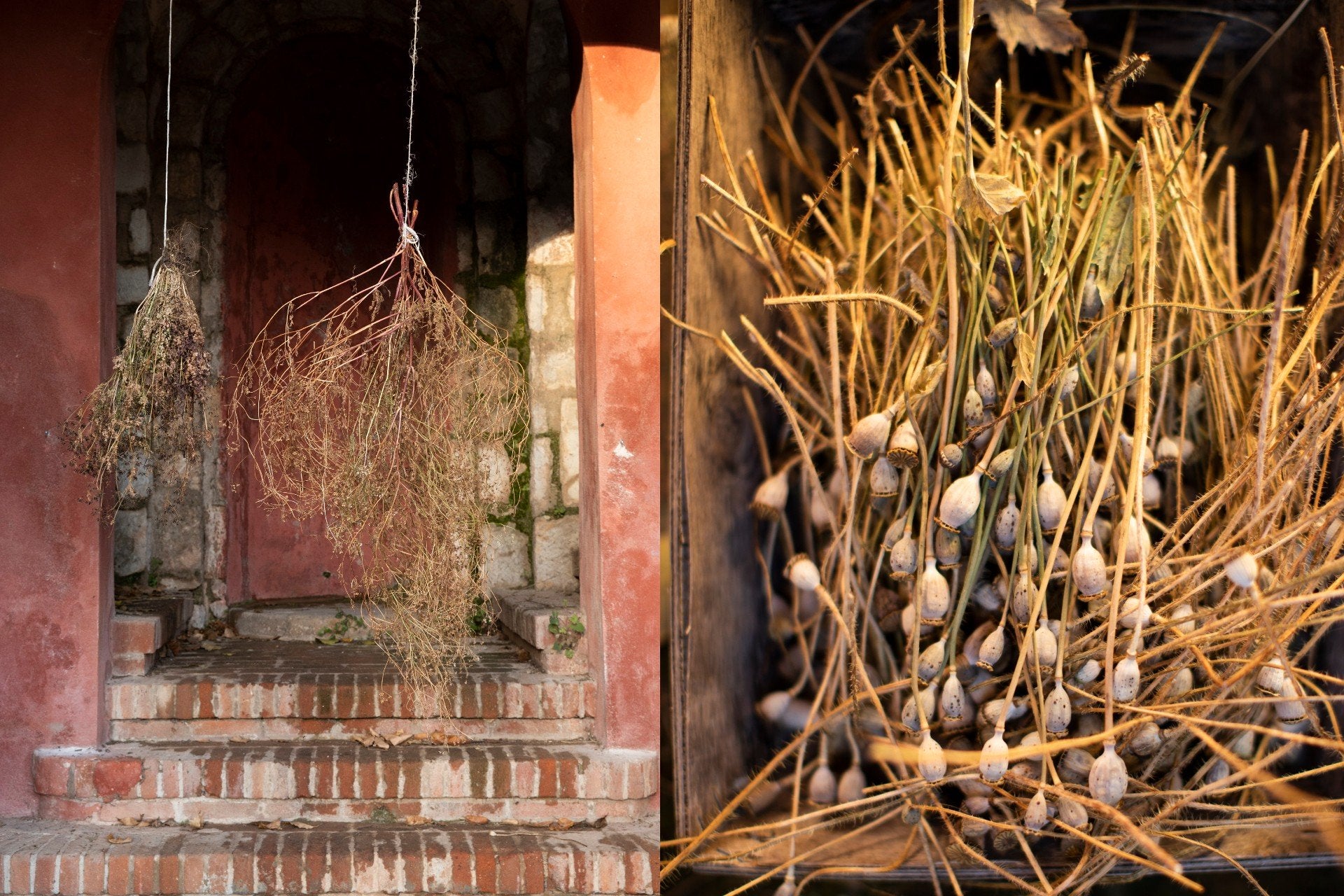 Mirazur : menu lunaire