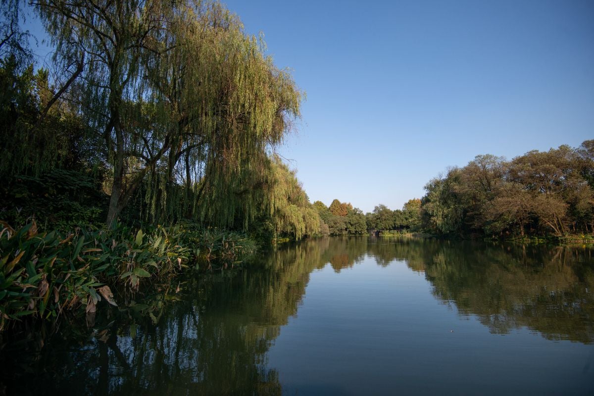 Croisière sur le lac à Hangzhou