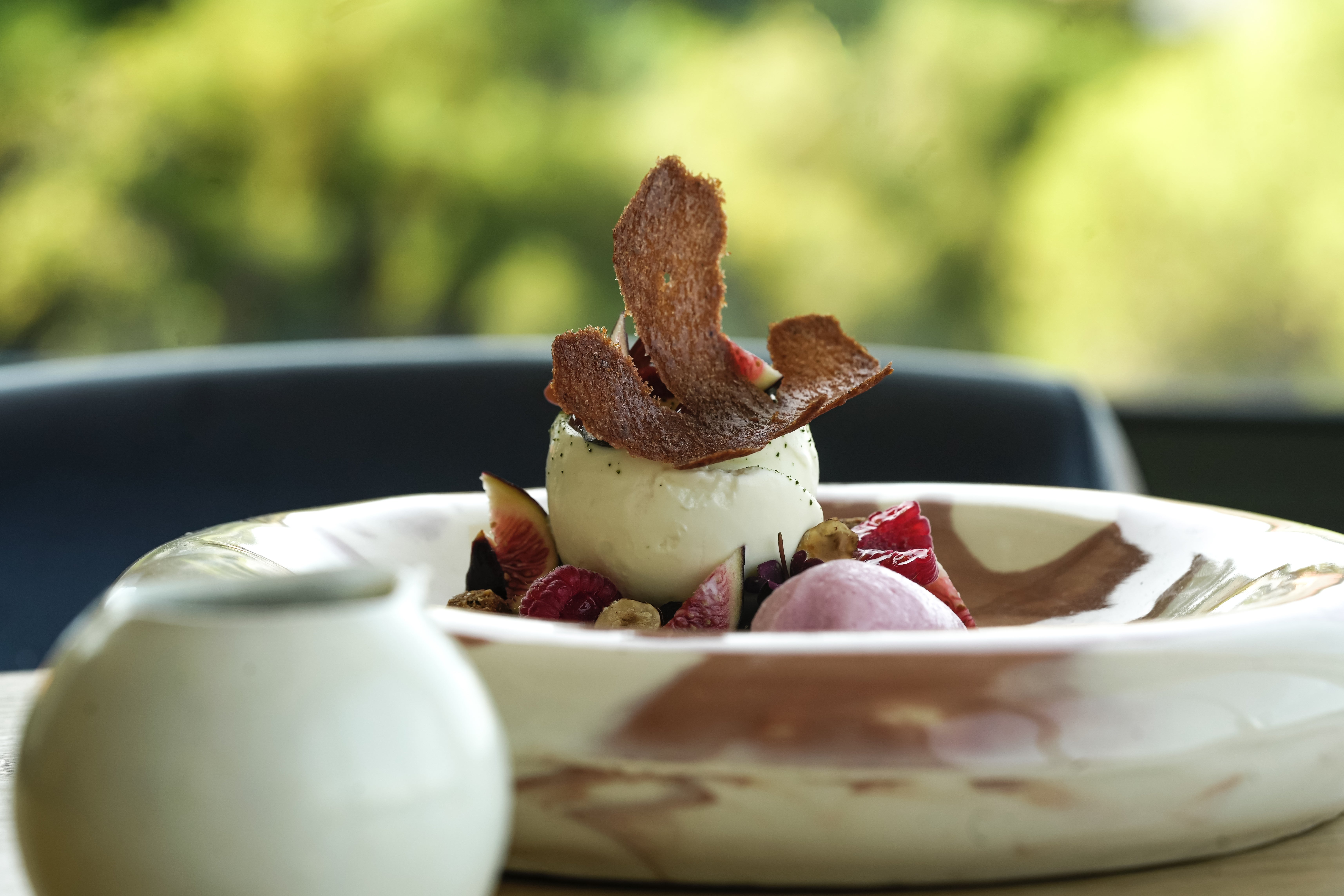 Fleur feragus, plat Thalazur Bandol
