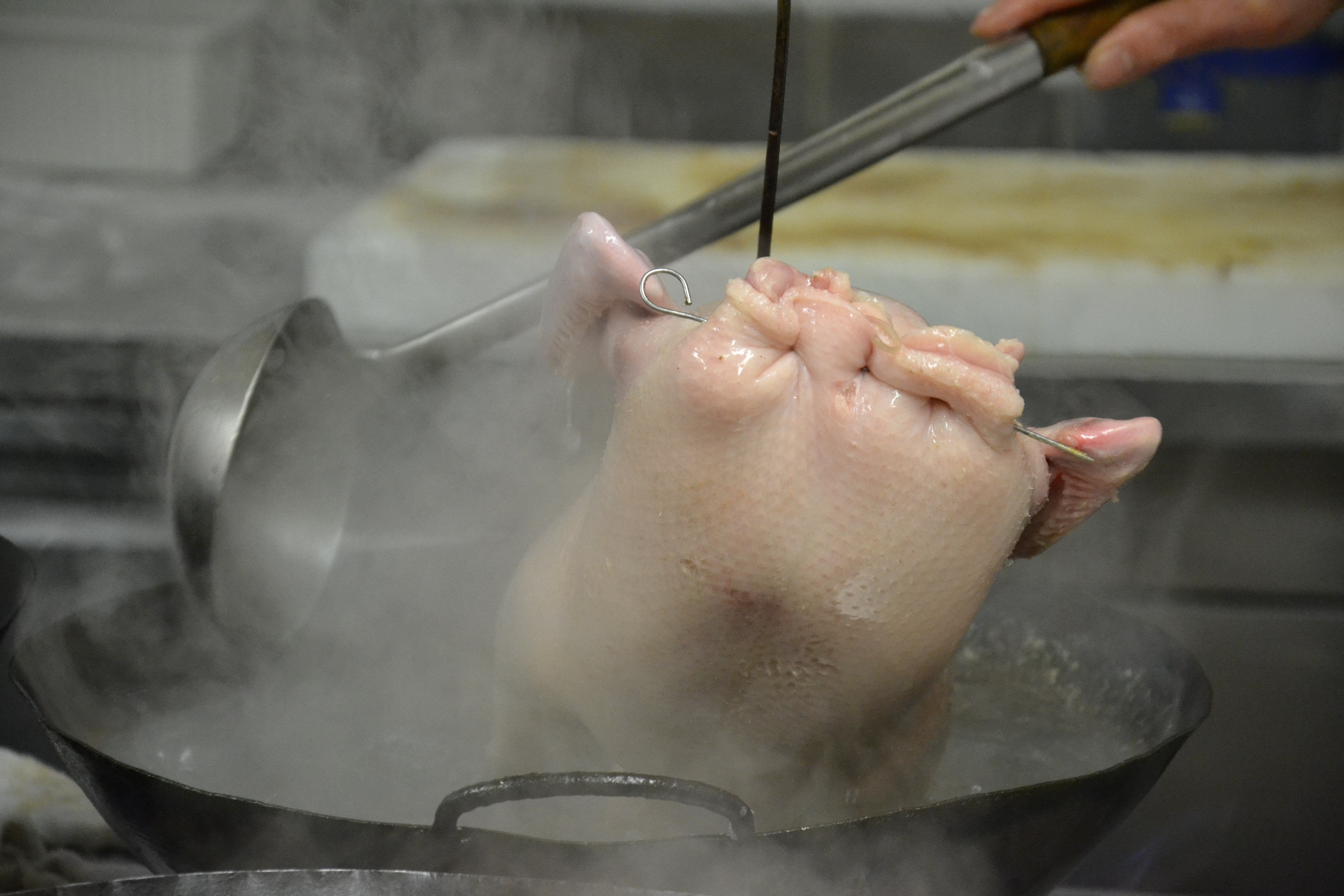 Cuisson canard