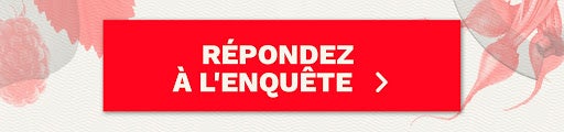 Enquete