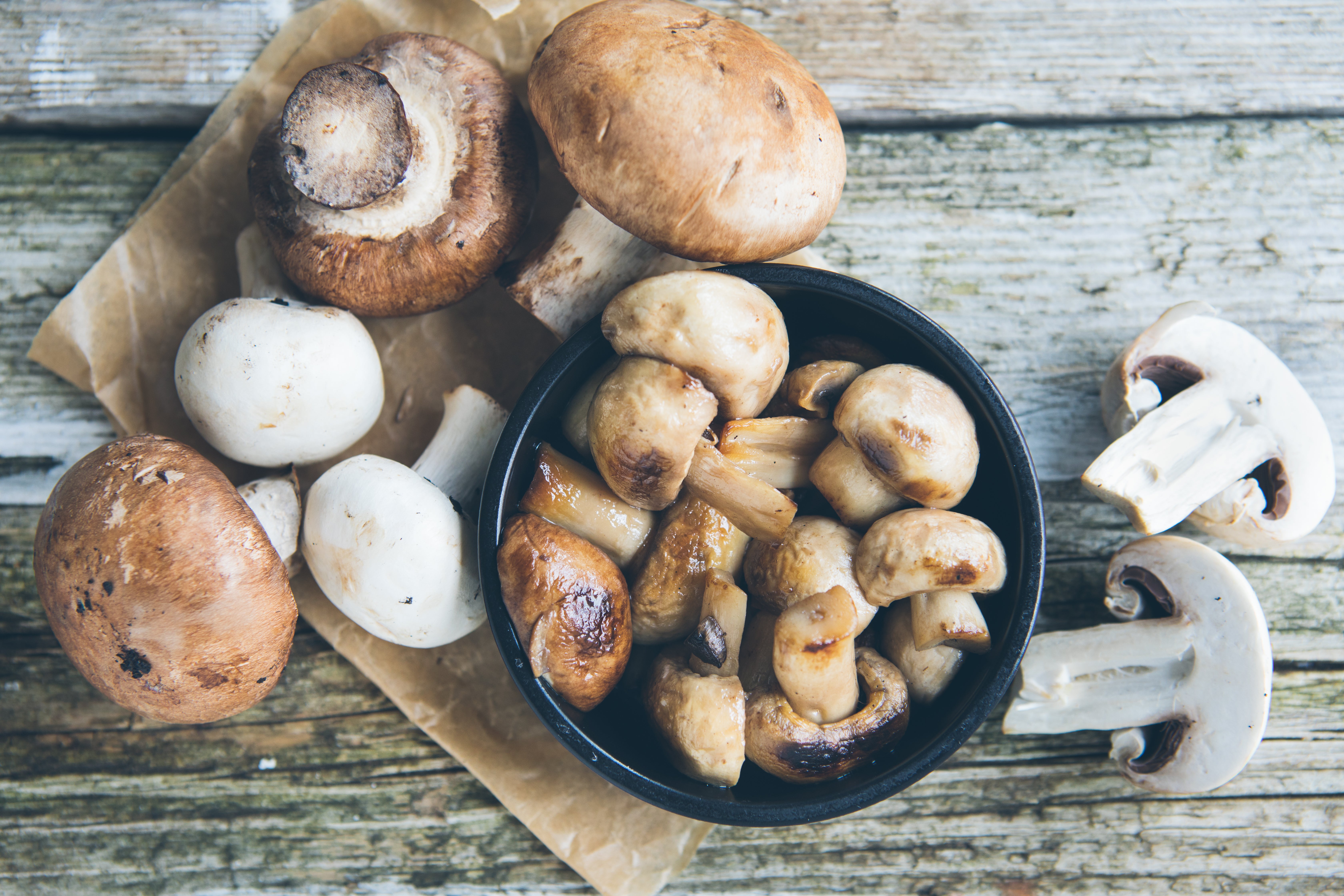 Les champignons comestibles