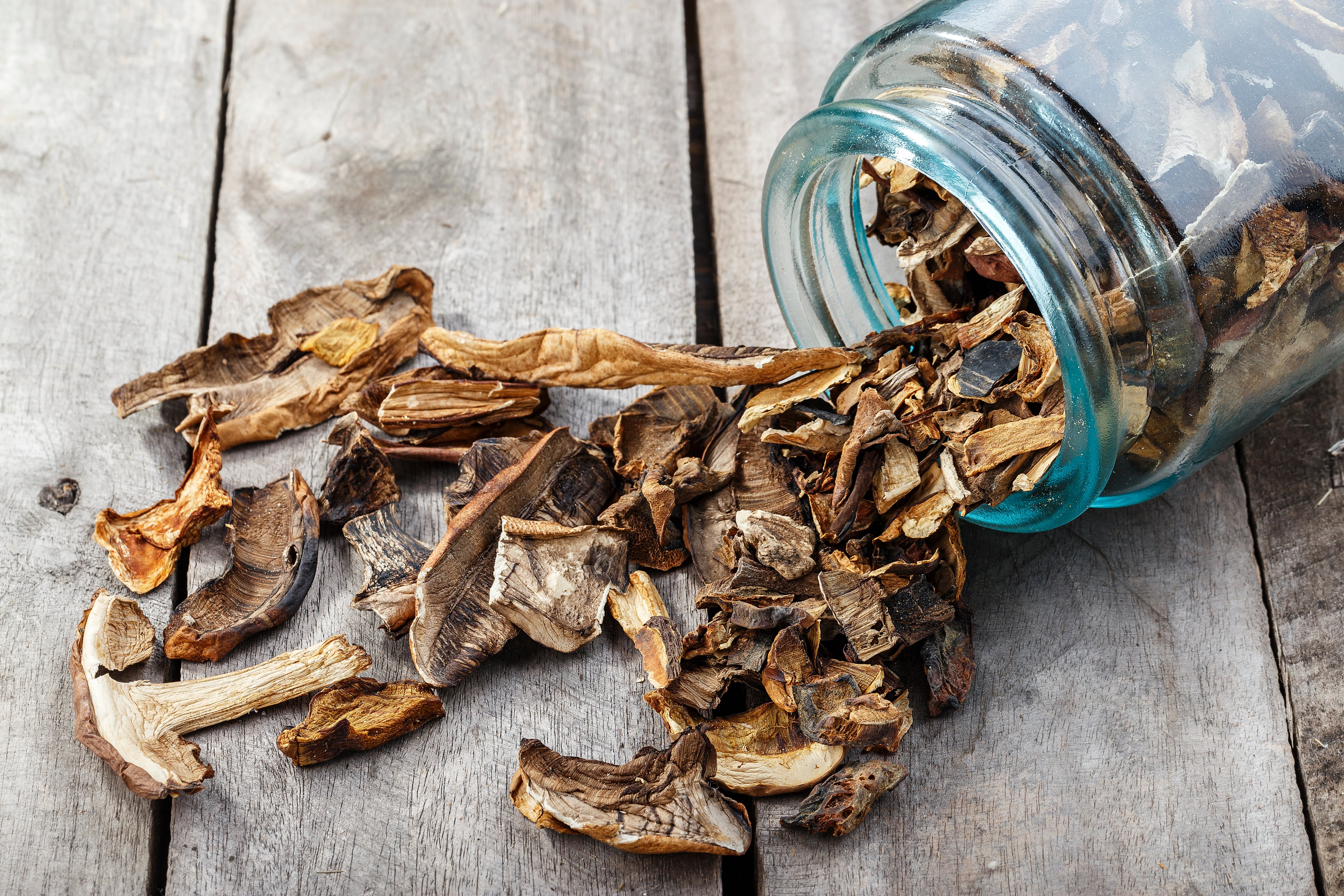 Comment conserver les champignons ?