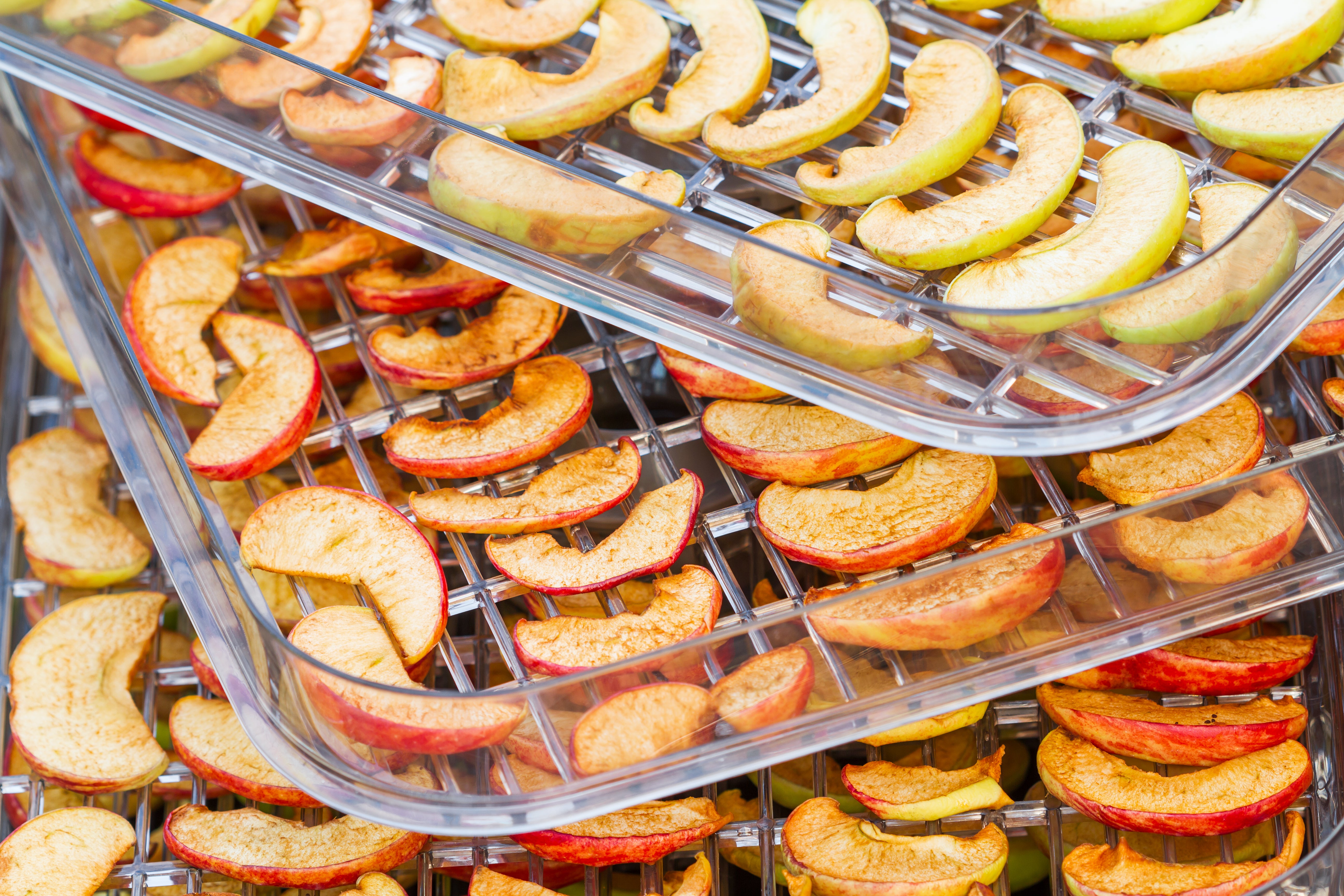 Déshydrateur alimentaire