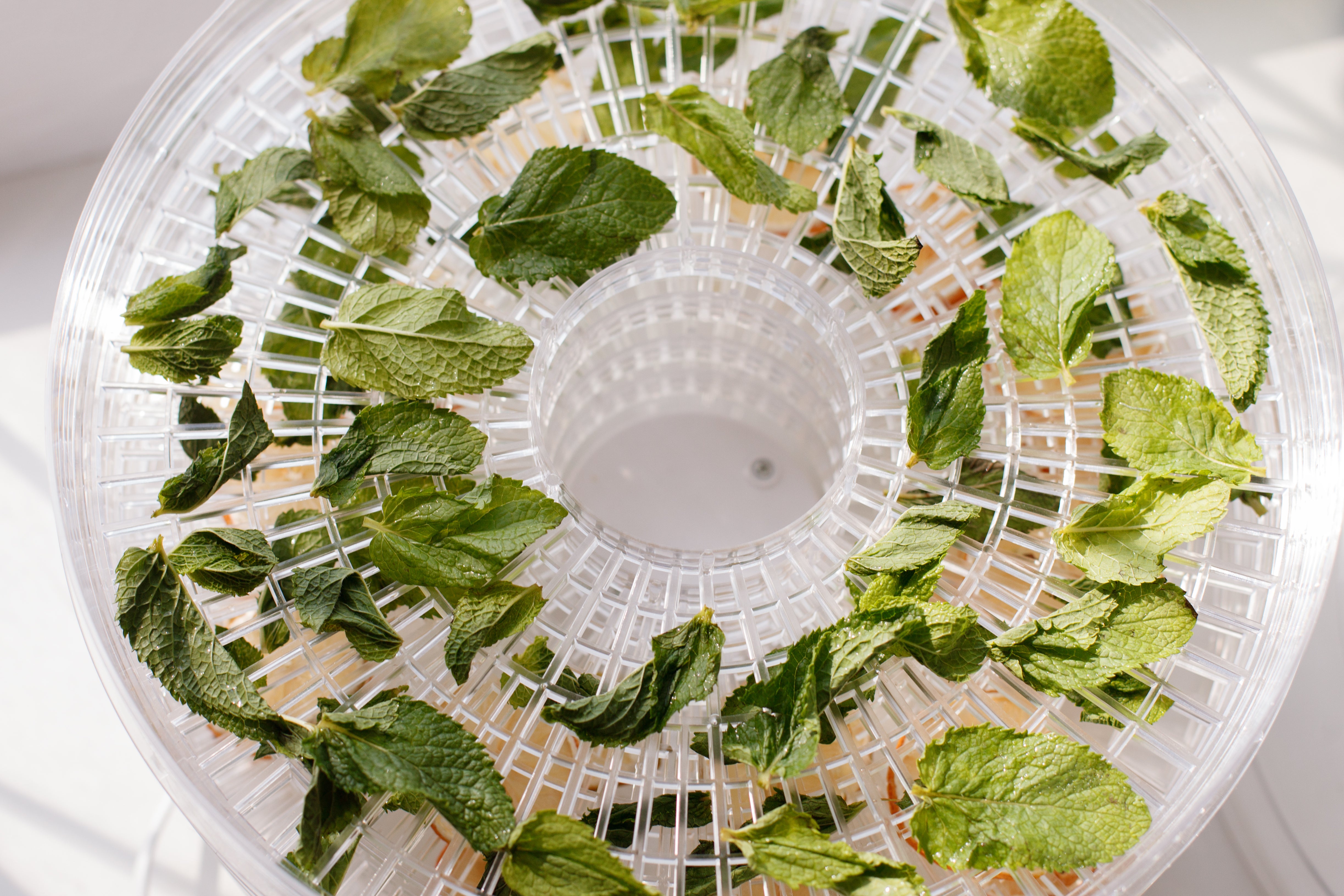 Déshydrateur alimentaire
