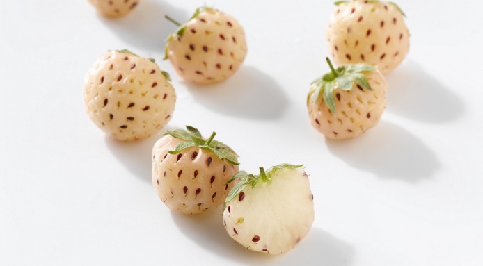 fraise blanche