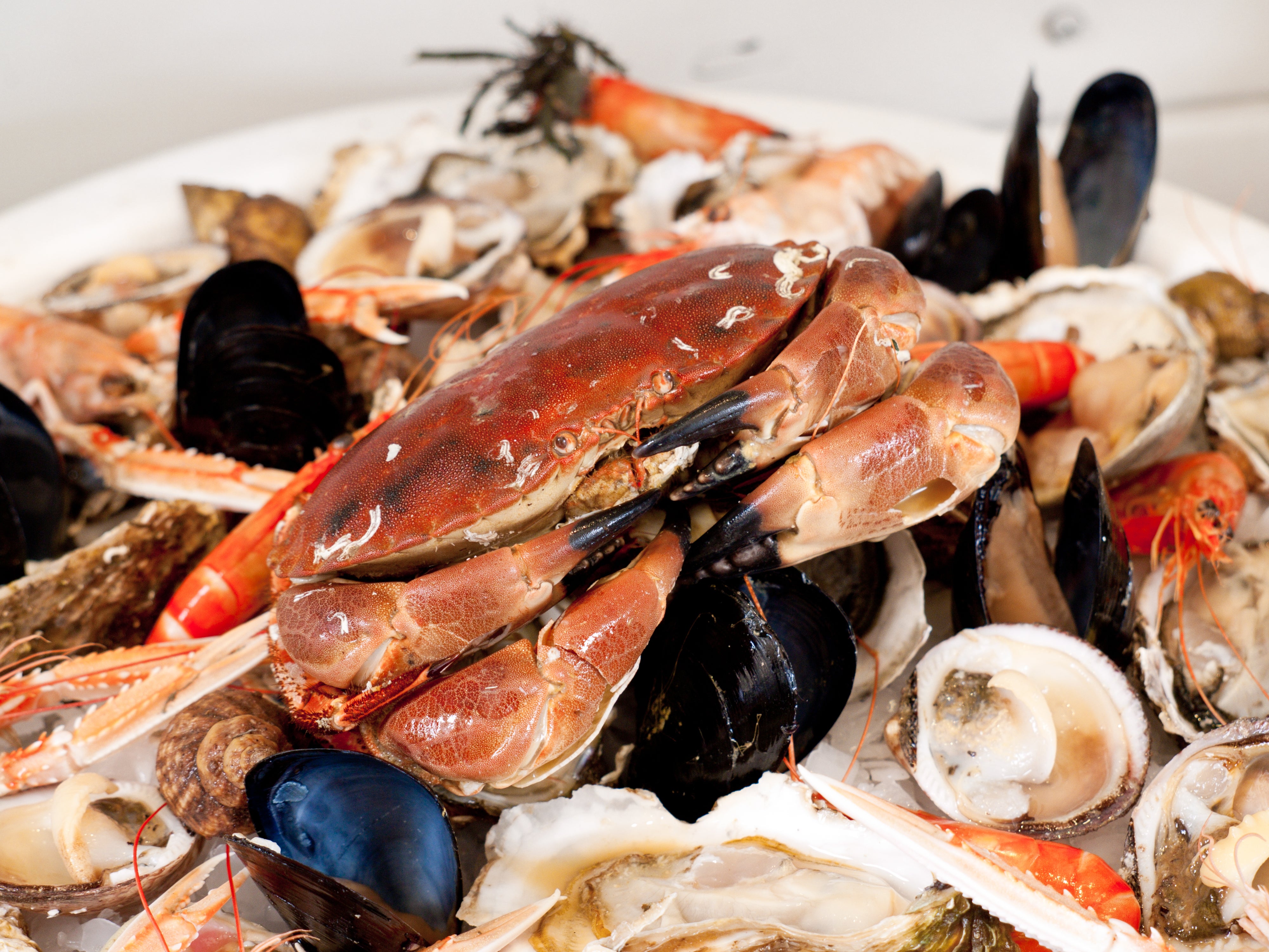 Calendrier des fruits de mer de saison : crustacés et mollusques