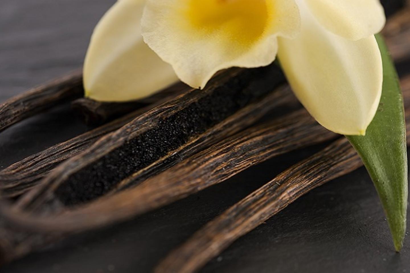 gousses et fleurs de vanille