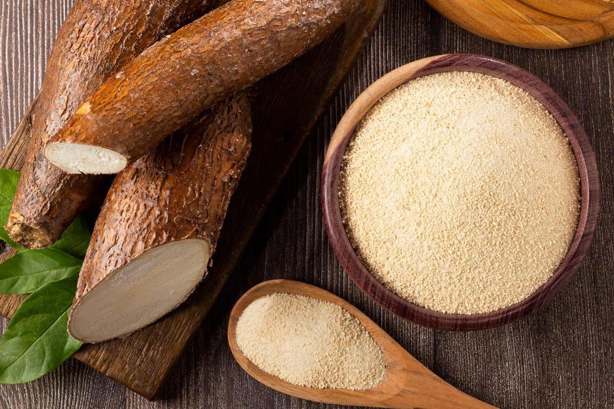 Manioc
