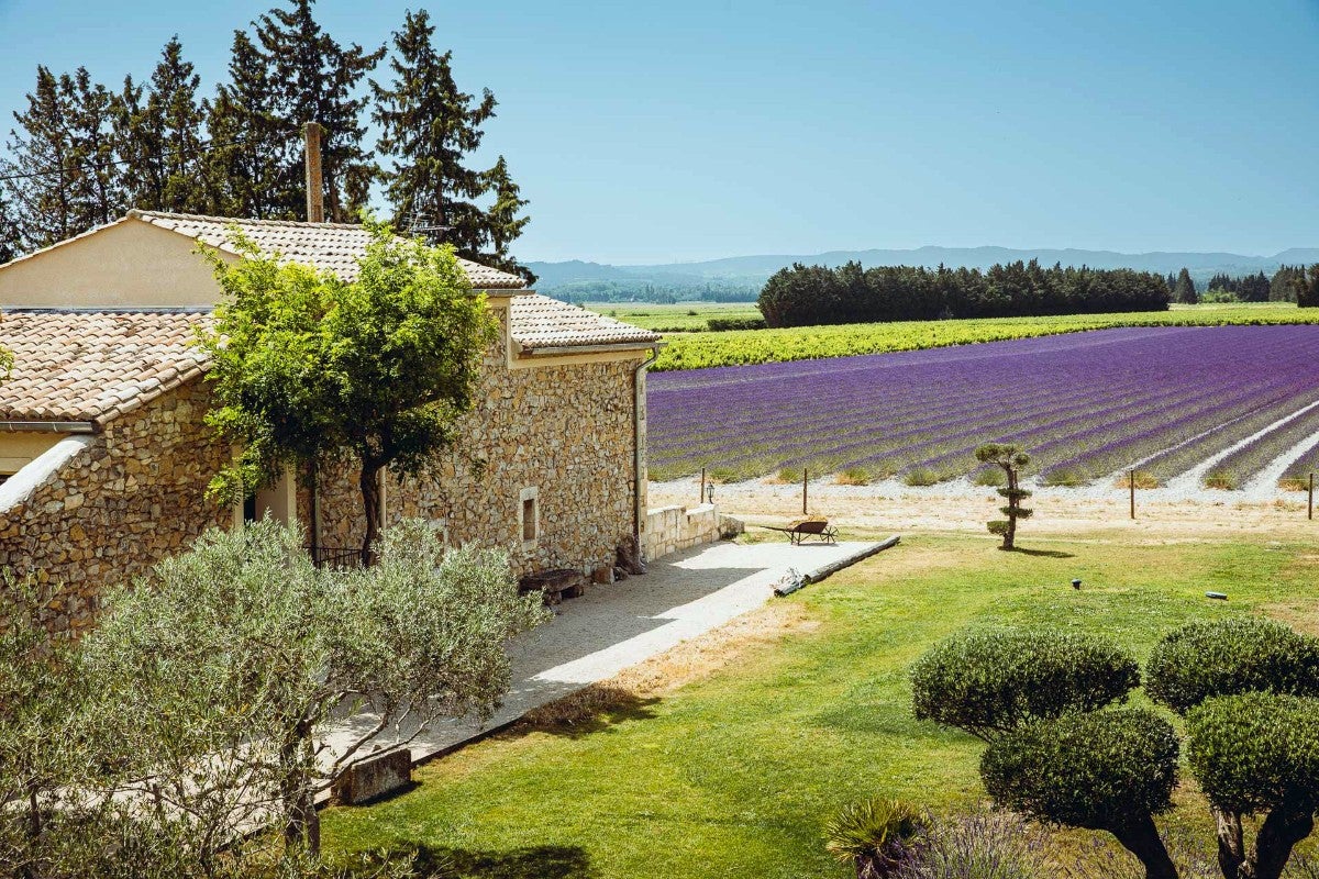 Entre Vigne et Garrigue - Maison Chenet