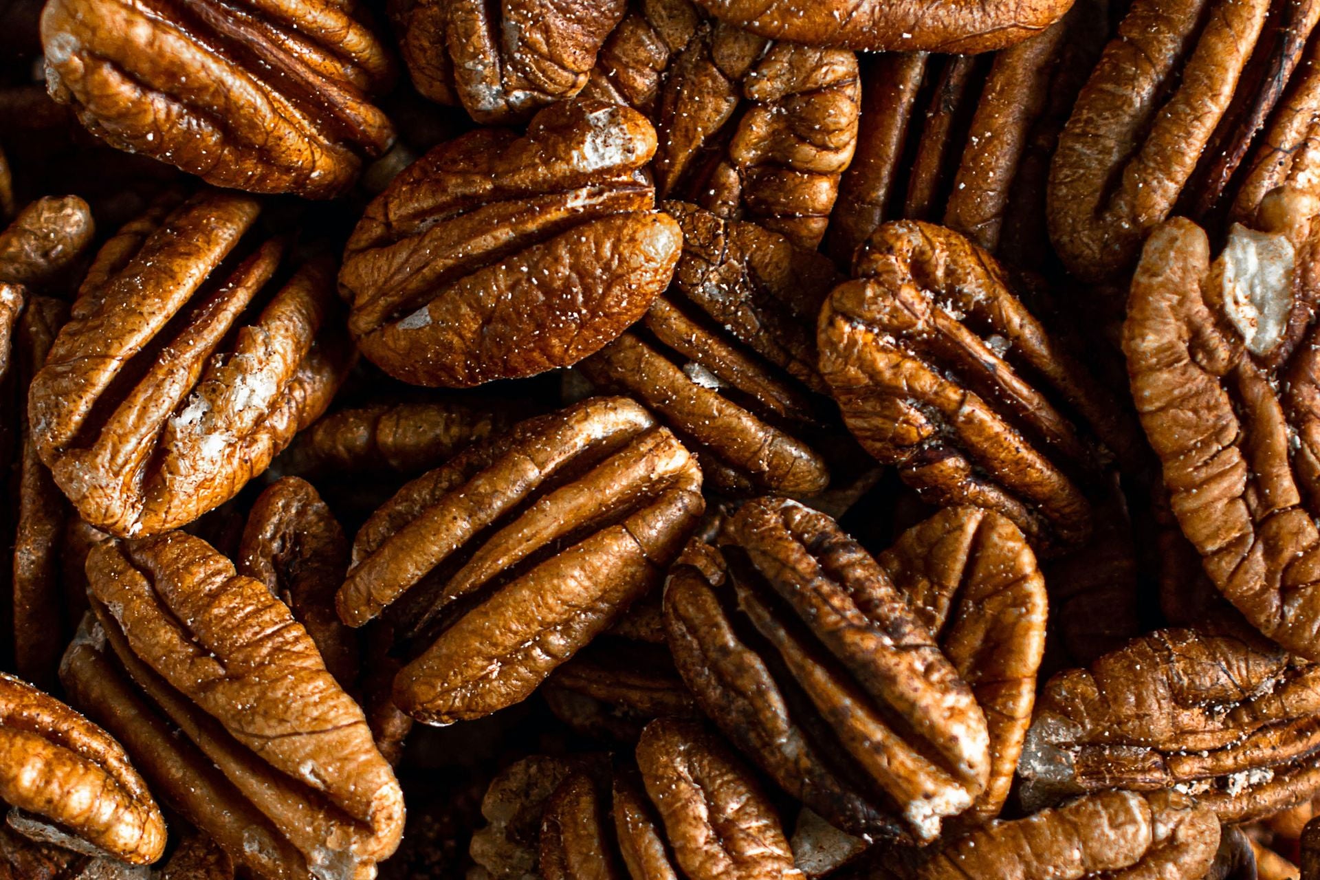 Conservation des noix de pecan