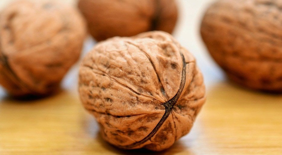 Conservation des noix fraîches non décortiquées