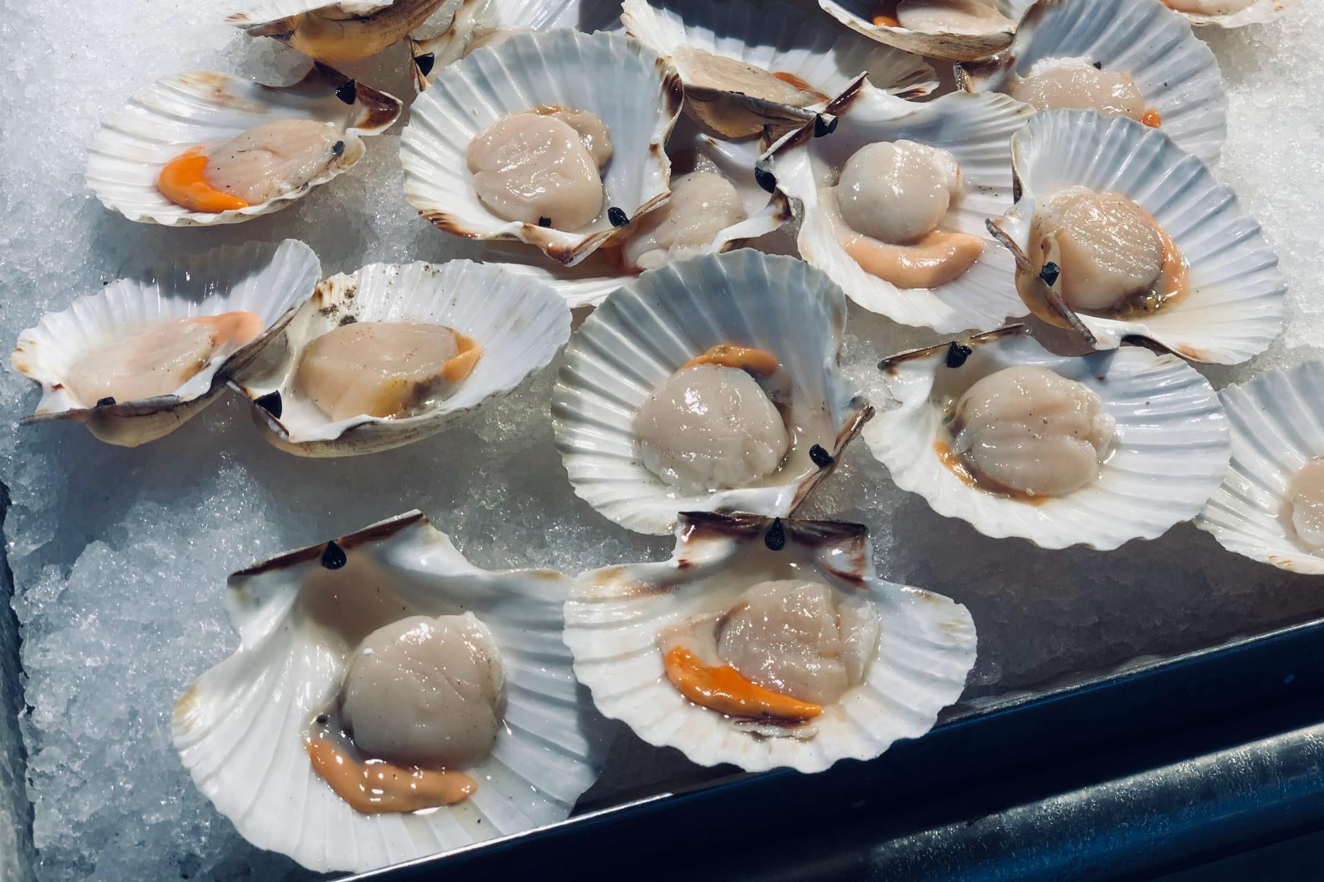 noix de Saint-Jacques