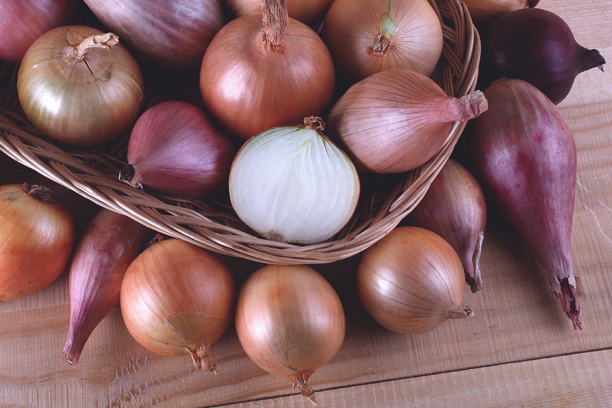 Oignons caramélisés