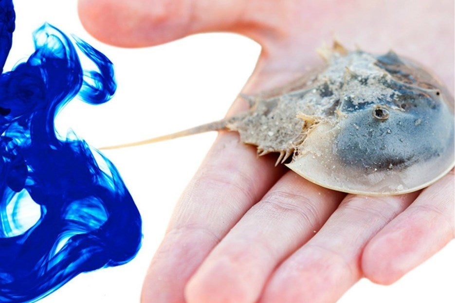 Sang du crabe bleu