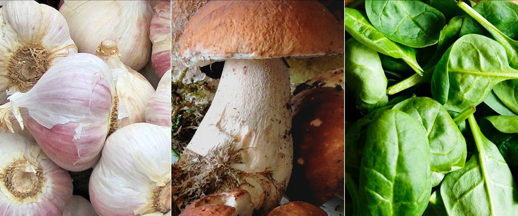 artichaut accords classiques