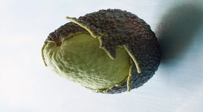 original_avocats-aliments-ne-pas-mettre-frigo