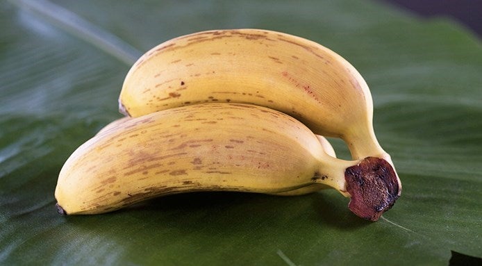 original_banane-aliments-ne-pas-mettre-frigo-