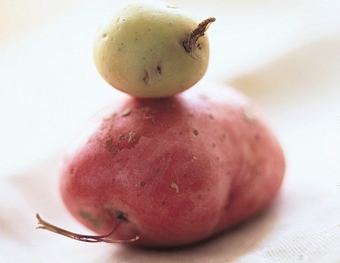 original_pommes-terre-aliments-ne-pas-mettre-frigo
