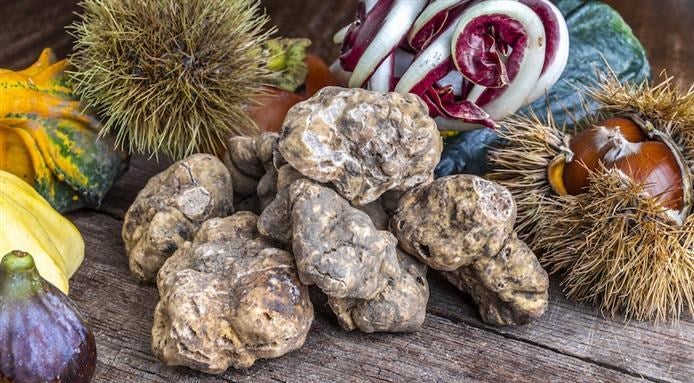 truffe