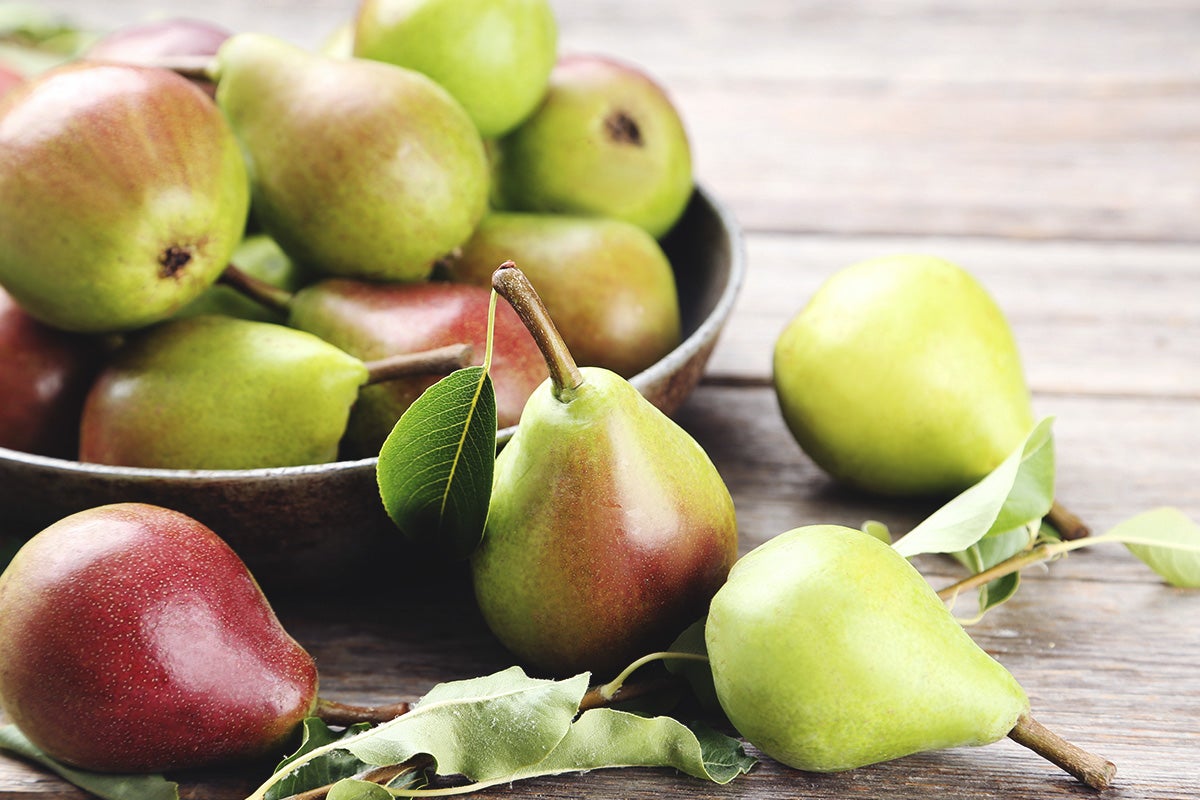 poire Guyot
