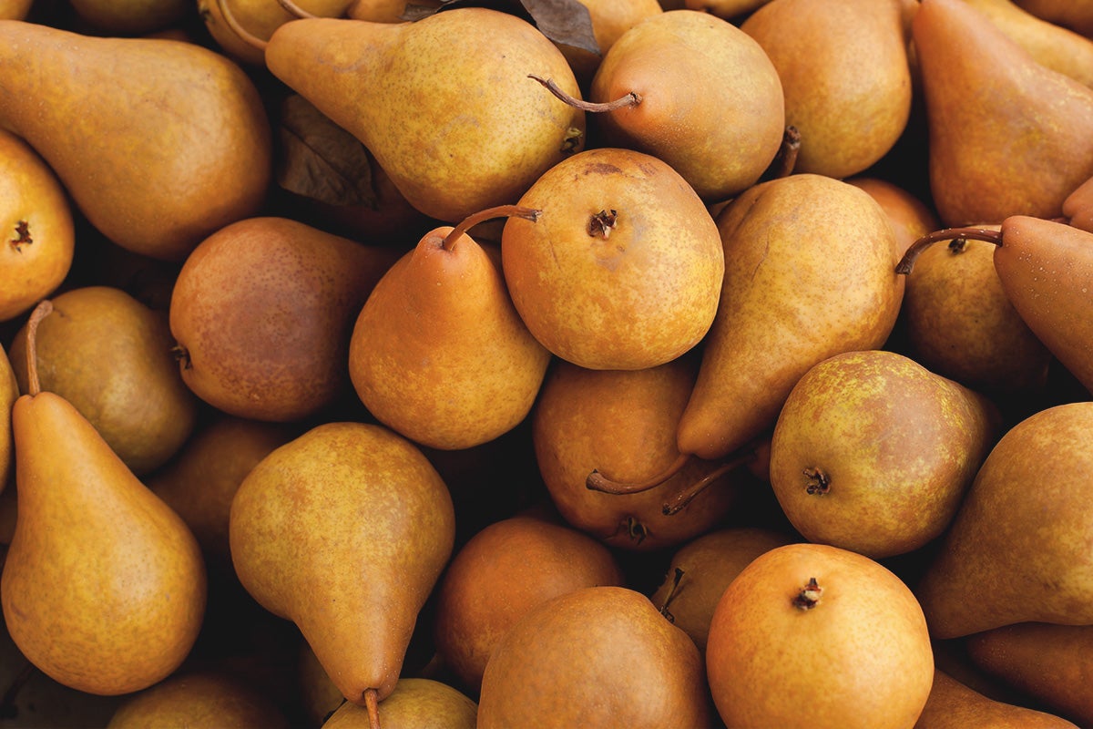 poire Passe-crassane
